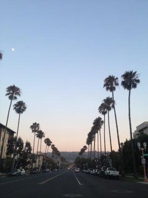 The drive to my office, Catalina Ave. heading south