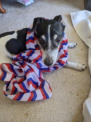 Schooner celebrating his last Fourth of July.