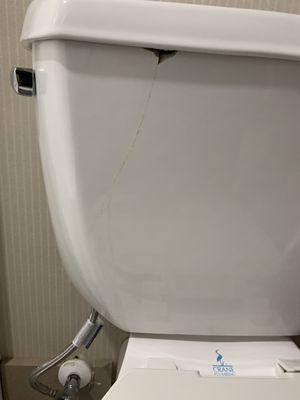 Cracked and leaking toilet tank