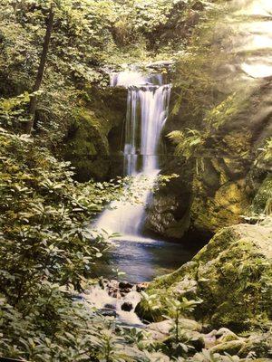 Scenic waterfall is part of the experience for therapy.