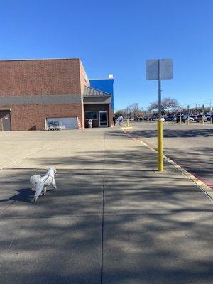 Walmart Bakery