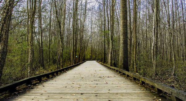 Mead Park has beautiful wooden pavements.