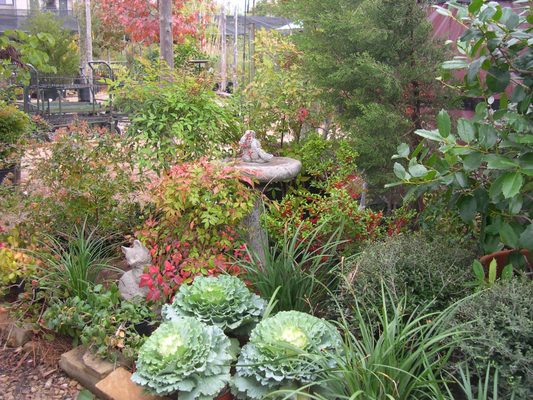 Rohde's Organic Landscape Services