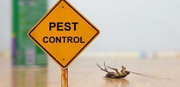 M & C Pest Control