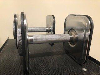 adjustable weight dumbells