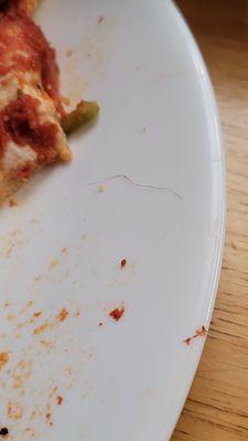 In all fairness, can't tell if it's a pubic hair, or a head topping... regardless, it was a hair bake into the pizza.