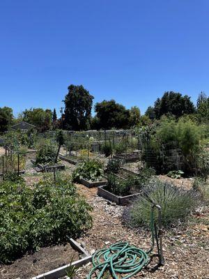 Garden beds