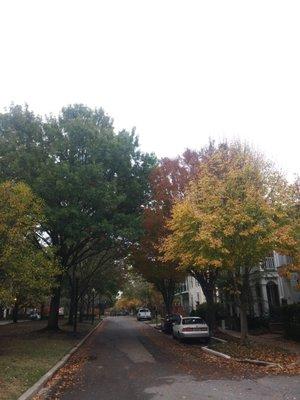 Fall at South Bluffs Apartments.