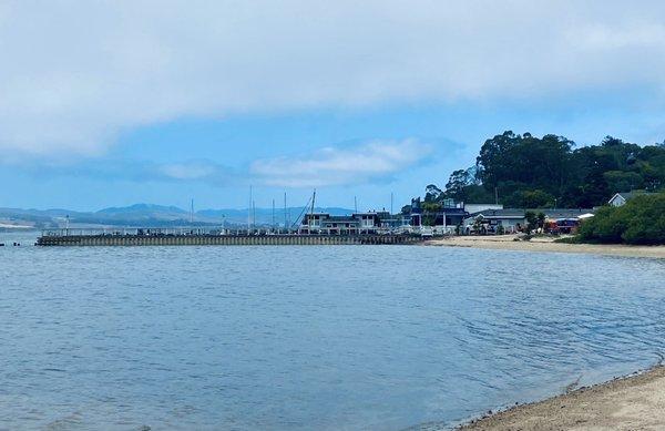 Sweet gentle beach for a picnic