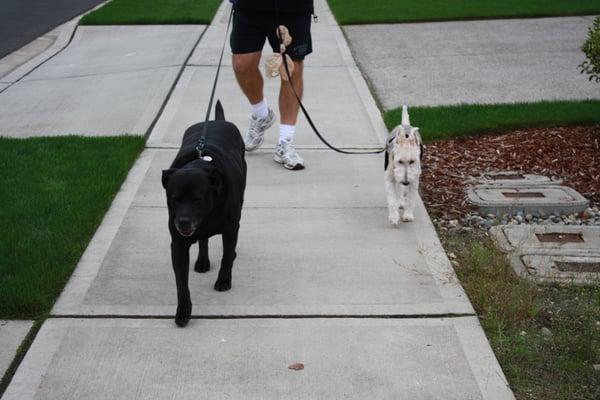 Maggie and Roenick