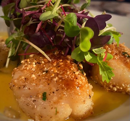 Scallops