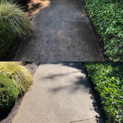 Pressure Washing before and after projects.