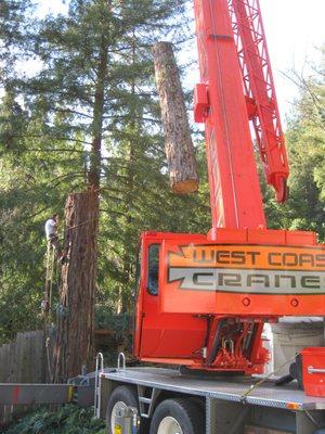 8500lbs of redwood being gently set down onto the driveway