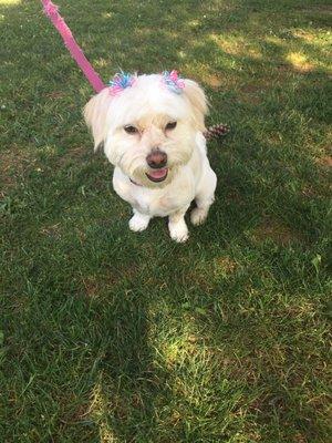 Pixie with ponies from Scruffy to Fluffy salon.