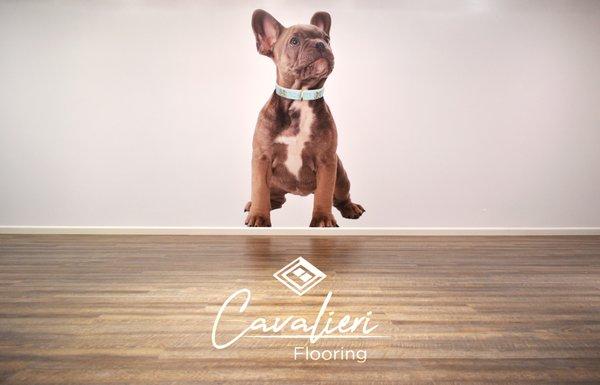 Cavalieri Flooring