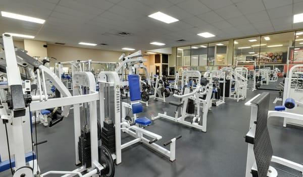 Full fitness floor equipped with free weights, benches and assisted machines.