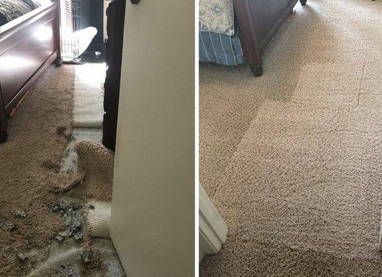 Carpet Repair