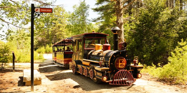 Train stop at the Desert of Maine