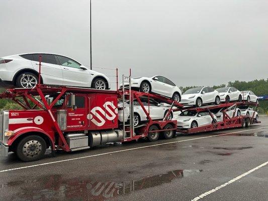 White Teslas are on the way to destination.