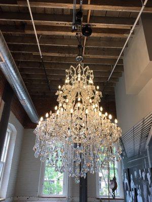 Chandelier in the main entryway.  So pretty!