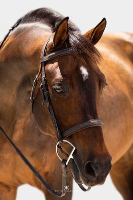 Riverbend Equestrian Center