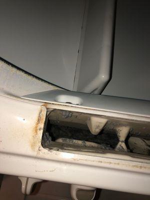 Black mold and severe damage to the washer - washer and dryer did not work for over two months and they did nothing to help us replace it.