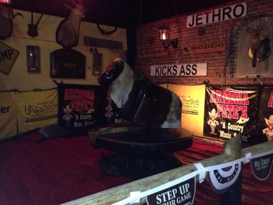 Mechanical bull