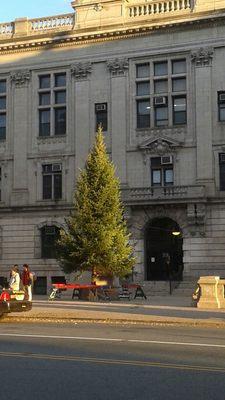 November 7th,  2017 City Hall in Paterson  A large tree had been delivered very early,  set up for Christmas 2017.