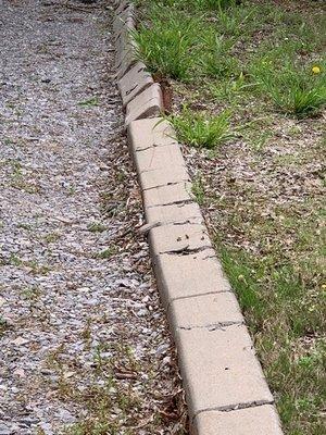 This was a perfect curb on our driveway before Vets serviced our septic.