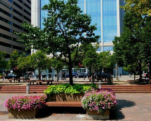 Trees and plant surrounded by concrete.