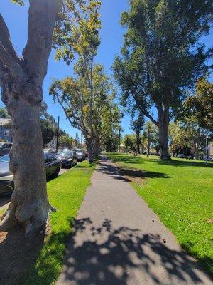 Paved walkways