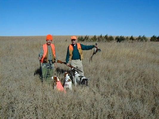 Hard to tell who's havin more fun...guys or dogs