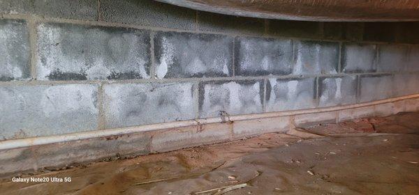 Efflorescence on the foundation wall indicating a moisture intrusion issue.