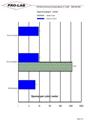 Mold Analysis