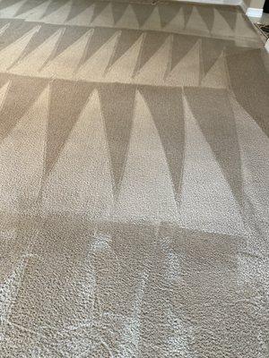 Oxi Fresh Carpet Cleaning