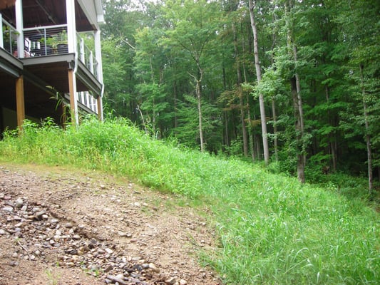 View of the slope referenced in the review.  Note that the lush greenery seen here is all weeds.