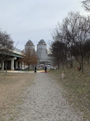 Slightly downhill view of downtown, from about halfway up a low grade path.