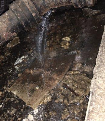 Drainage plumbing leak in crawl space.