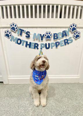 Happy Birthday, Cooper!!!