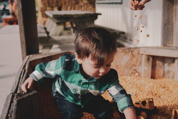 Family session at an apple orchard in Gettysburg, Pa