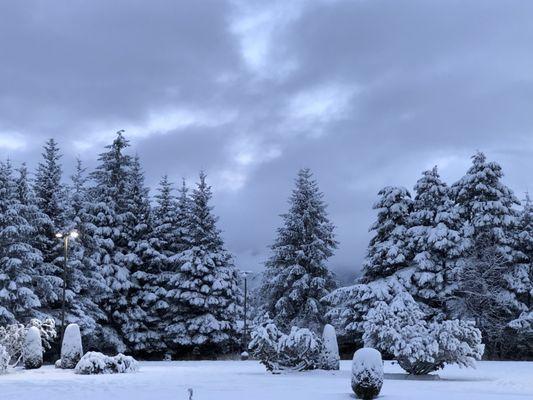 Winter wonderland in Juneau! The trees are laden with snow. Locals snowshoe, ski, and routinely host game nights with friends.