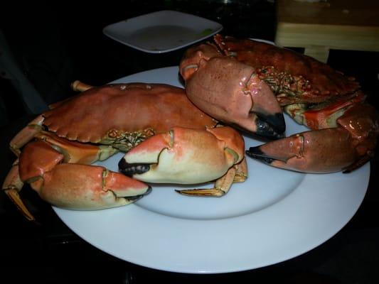 Stone crab