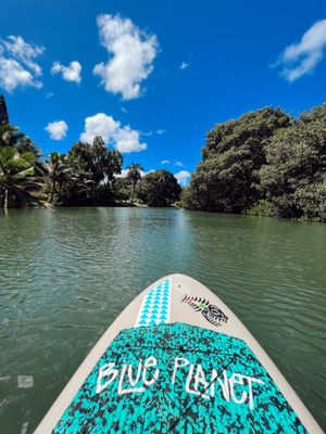 Purchased my first paddle board at BP! Love the quality and hands down the best lookin' brand in the island!