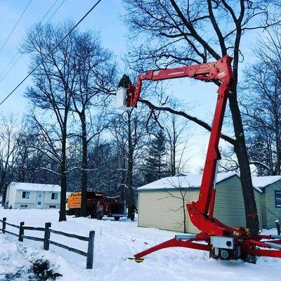 #Residential #Commercial #TreeRemoval #TreeTrimming #SafetyFirst #CertifiedArborist #CertifiedProfessionals #TreeService #Sno...