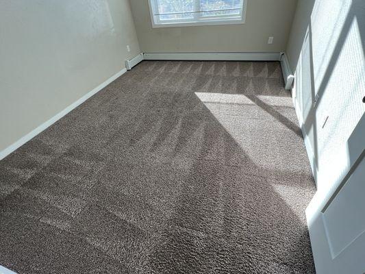 Carpet