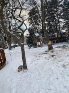 back of house. The tree is directly behind the garage.