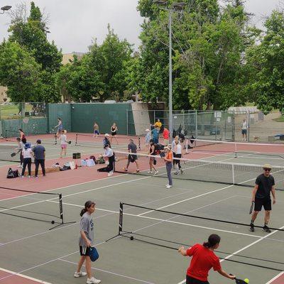 See why Pickleball is still the fastest growing sport in America right now.