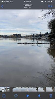 This fence is at serious risk of being ripped up out of the earth and getting washed down river.