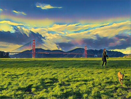 Crissy Field