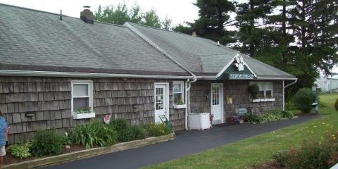 Beaver Lake Animal Hospital